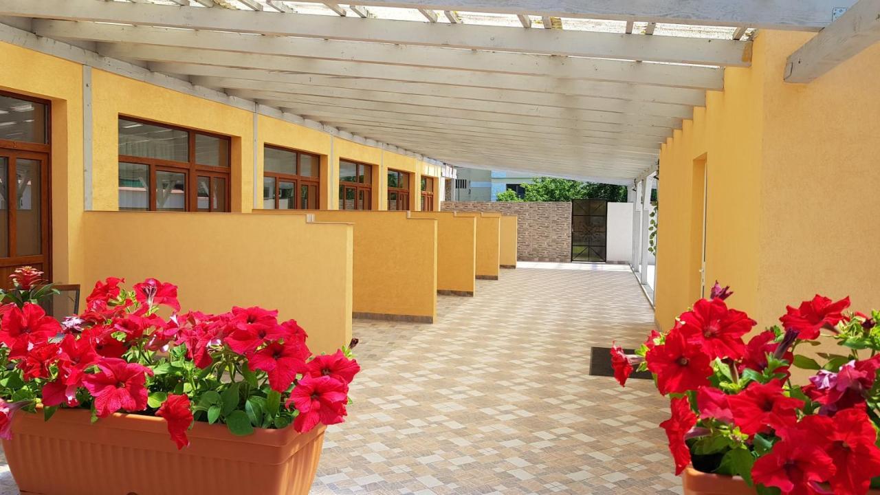Hotel Resting House Braşov Exterior foto